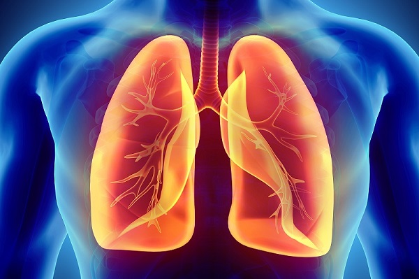 PHỔI BỊ KHÓA TRONG CƠ THỂ Ở ĐÂU? Nêu chức năng và cấu tạo của phổi?