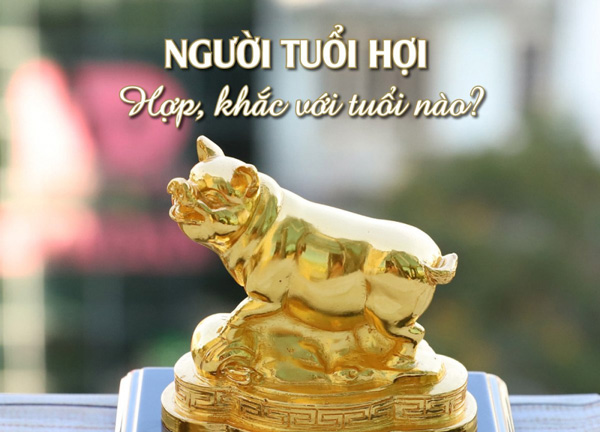 Màu sắc nào hợp với tuổi Hợi, năm nào hợp nhất trong cuộc sống?